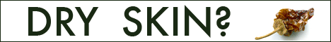 468x60 banner