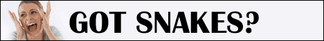 468x60 banner