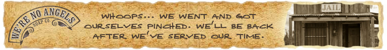 760 x 100 etsy banner