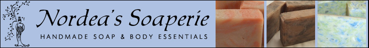 760 x 100 etsy banner