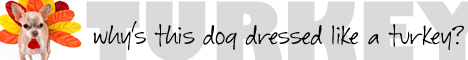 468x60 banner